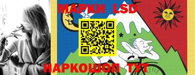 дмт Камышлов