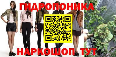 кокс Кандалакша