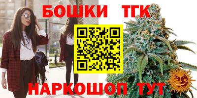 дмт Камышлов