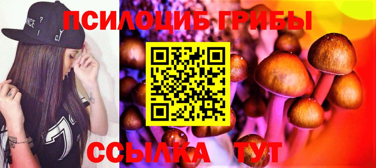 Галлюциногенные грибы Psilocybine cubensis  Вход с VPN  Вязьма  купить наркоту  Псилоцибиновые грибы Psilocybine cubensis 