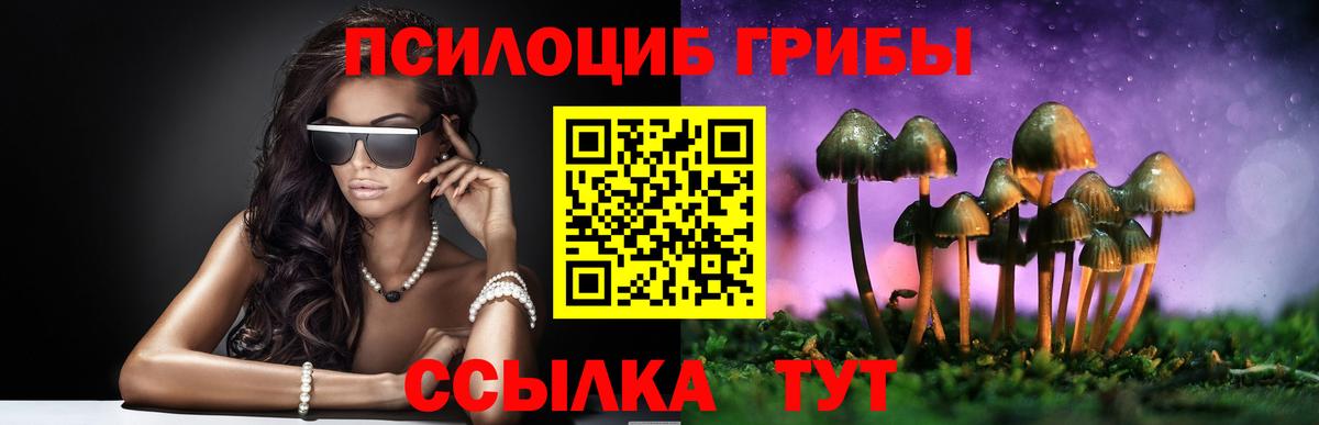Галлюциногенные грибы Cubensis Вязьма